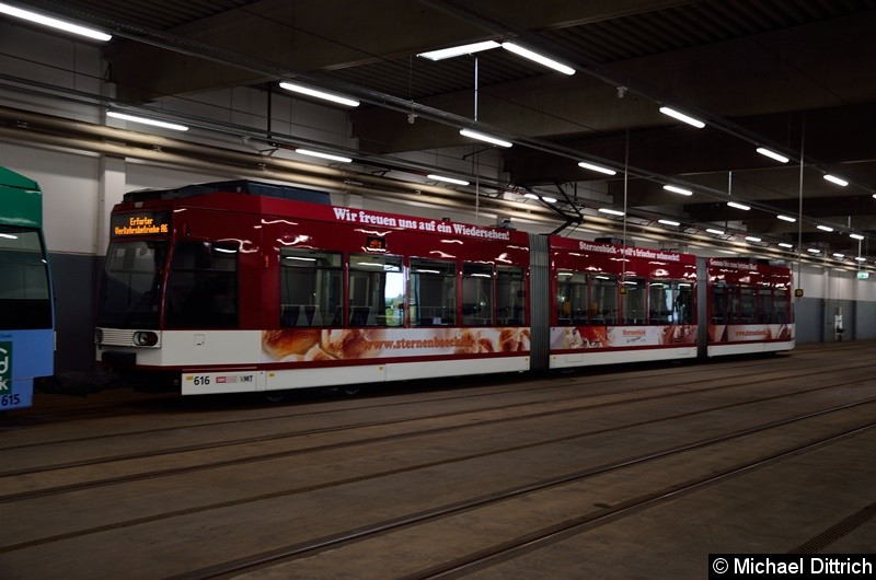 Bild: 615 und 616 in der Wagenhalle beim Tag der offenen Tür im Betriebshof Südost.