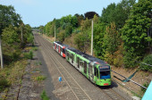 0369