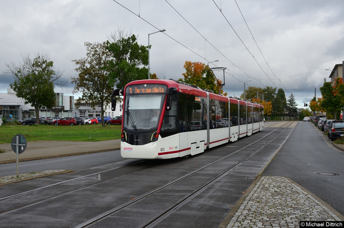 Bild: 803 als Linie 1 an der Mittelhäuser Straße.