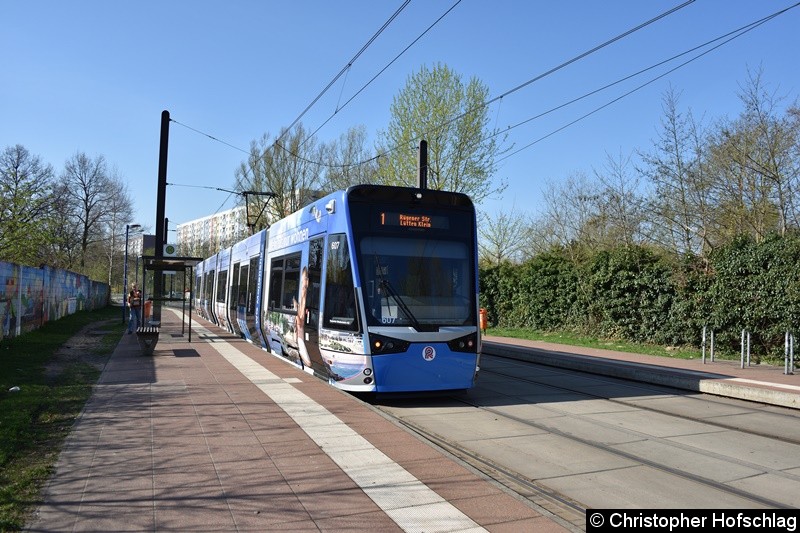 Bild: 607 als Linie 1 an der Haltestelle Rügener Straße.