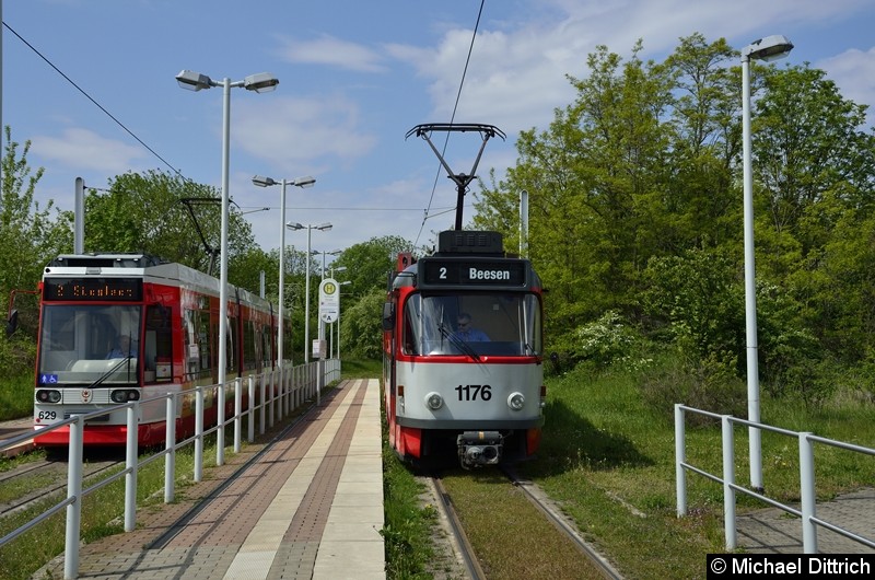 Bild: Sonderfahrt mit 1176 + 204: In der Abfahrtshaltestelle Soltauer Straße, wo sich der 629 als Linie 2 dazu gesellt.