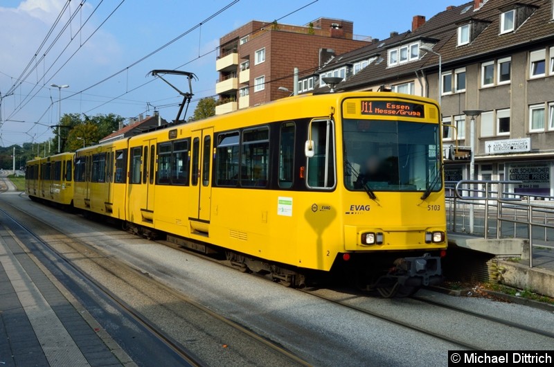 5103 + 5144 als Linie U11 in der Haltestelle Buerer Straße in Gelsenkirchen.