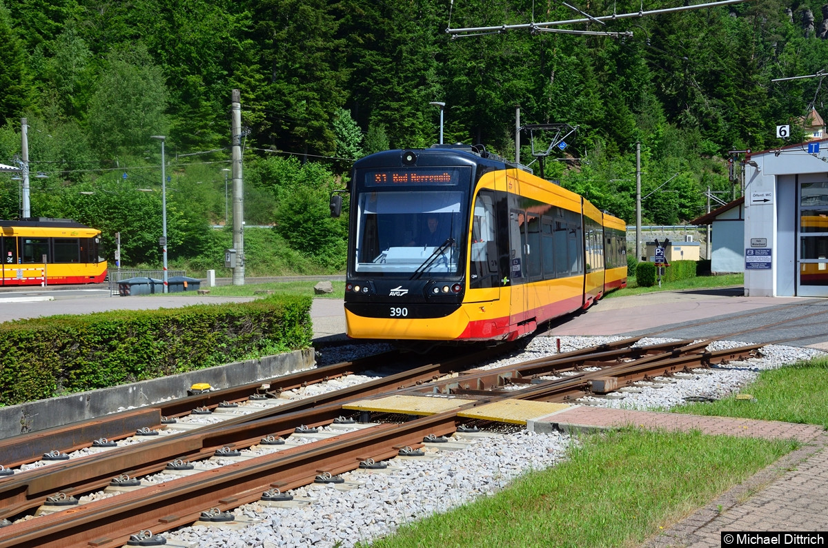 Bild: 390 als Linie S1 beim Erreichen seines Ziels Bad Herrenalb.