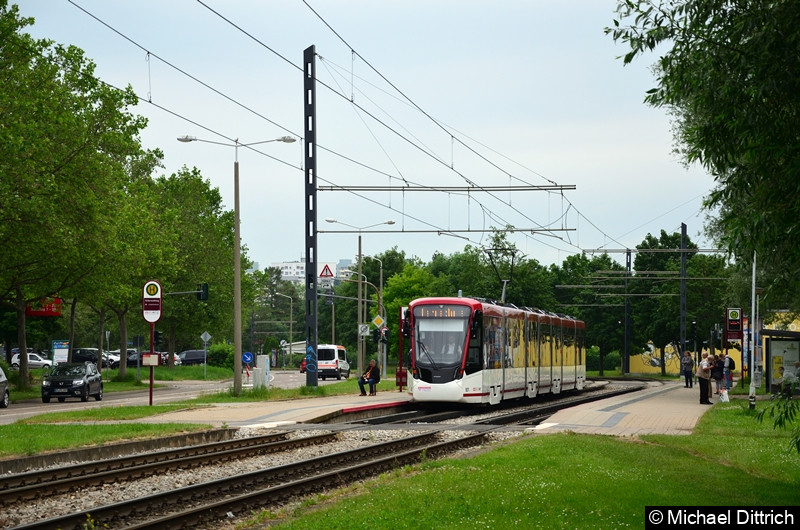 Bild: Als Fahrschule ist der Tramlink 801 unterwegs und steht hier an der Haltestelle Färberwaidweg.