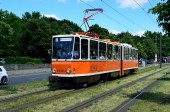 219 481-3