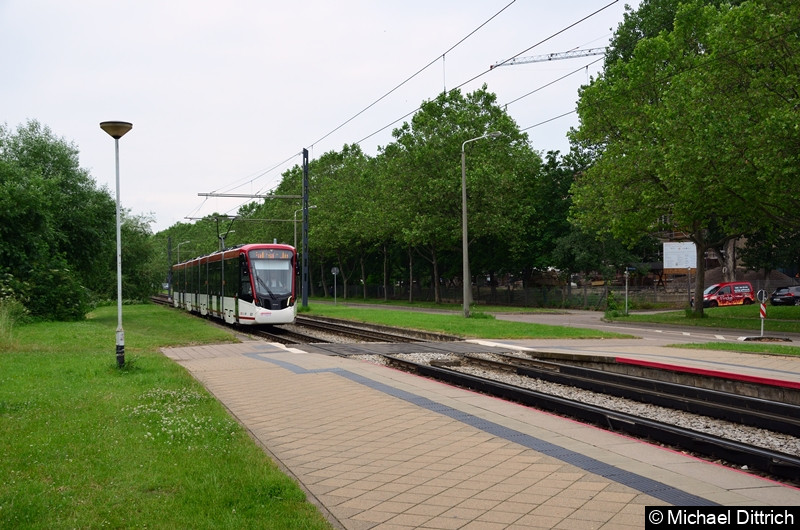 Bild: Auf dem Rückweg vom Wiesenhügel erreicht 801 die Haltestelle Färberwaidweg.