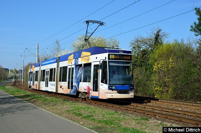 Bild: 1134 als Linie 8 kurz vor der Haltestelle Strbf. Paunsdorf.