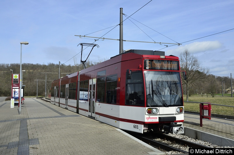 Bild: 603 als Linie 5 an der Endstelle Zoopark.